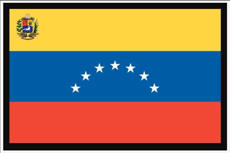 Dedicado a las víctimas de las protestas del #12F/Dedicated to the Victims of the Protests in Venezuela on February 12.