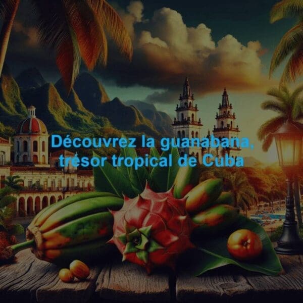 Guanabana à Cuba : fruit corossol vert à chair blanche