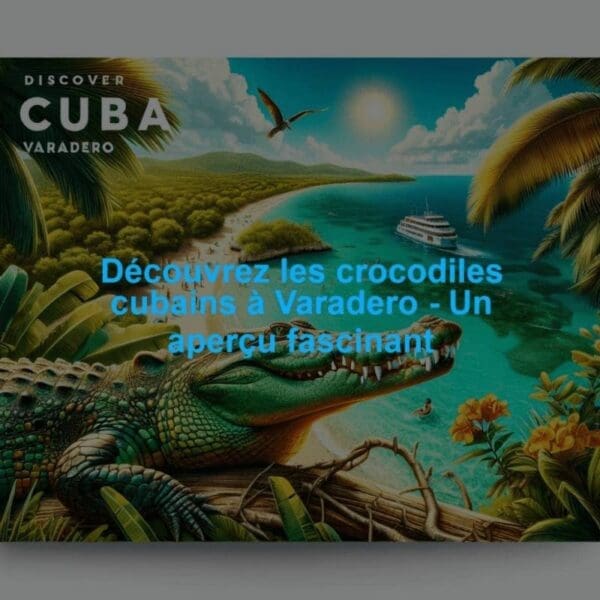 Crocodile de Cuba dans la Ciénaga de Zapata, secteur naturel accessible lors d’une visite depuis Varadero