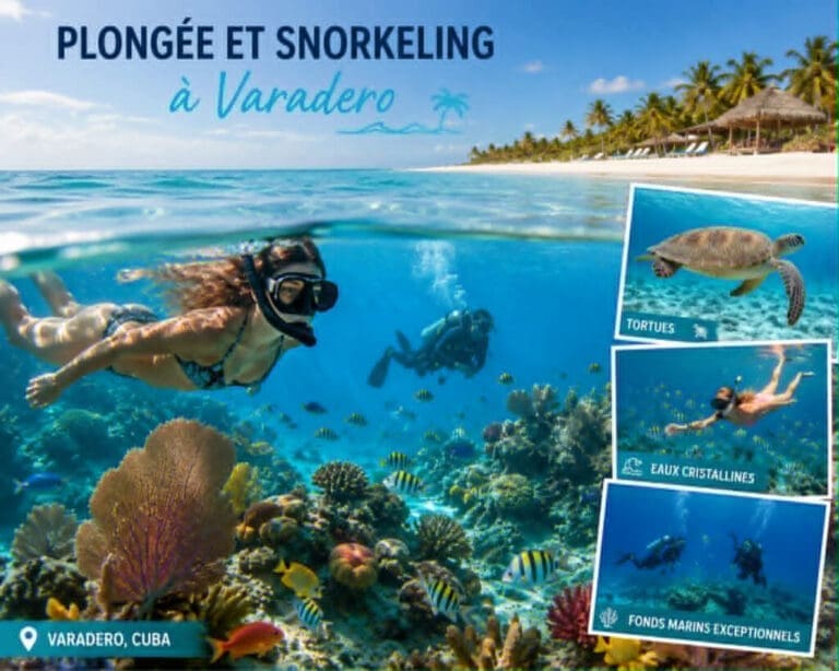 Plongée et snorkeling à Varadero